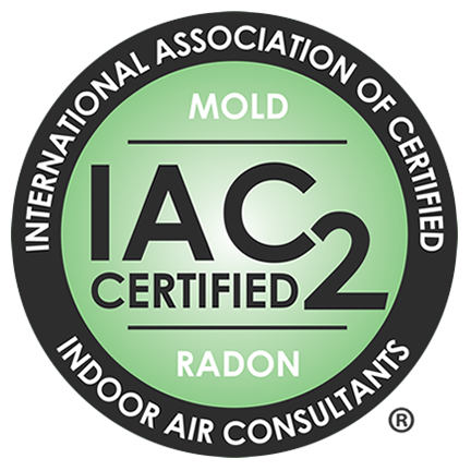 IAC2 Certified Consultant
